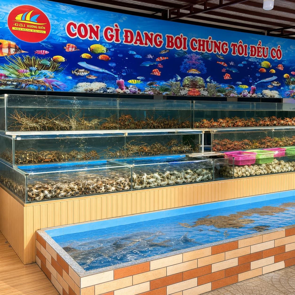 Hệ thống bể hải sản tươi sống trực quan tại nhà hàng giúp khách hàng tự tay lựa chọn