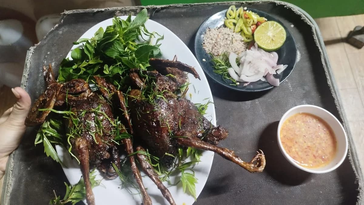 Đĩa chim cu kỳ nướng chín vàng ươm thơm phức trên bếp than hồng