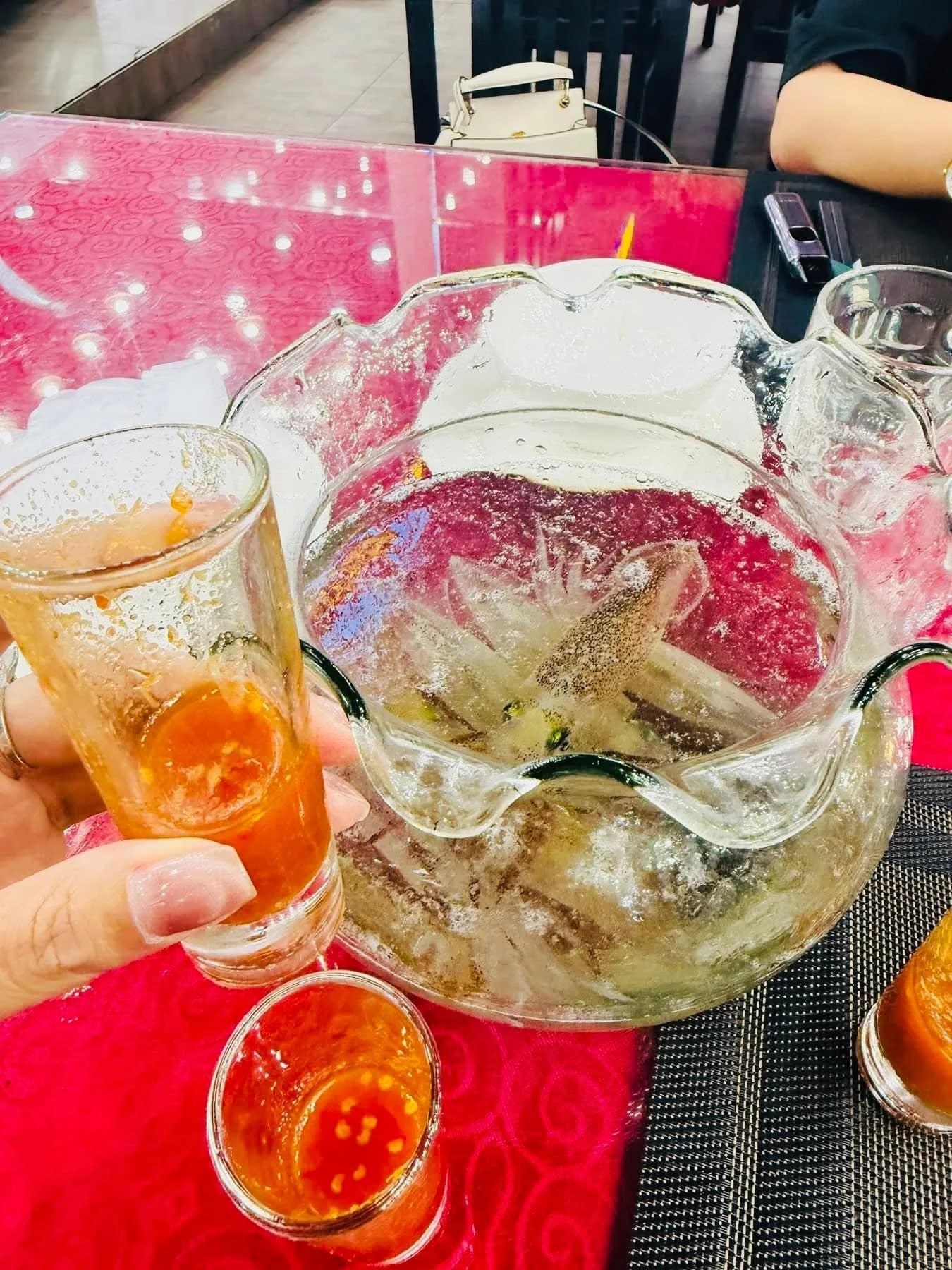 Những con mực nhảy tươi roi rói lấp lánh ánh kim nhấp nháy liên tục trong bể